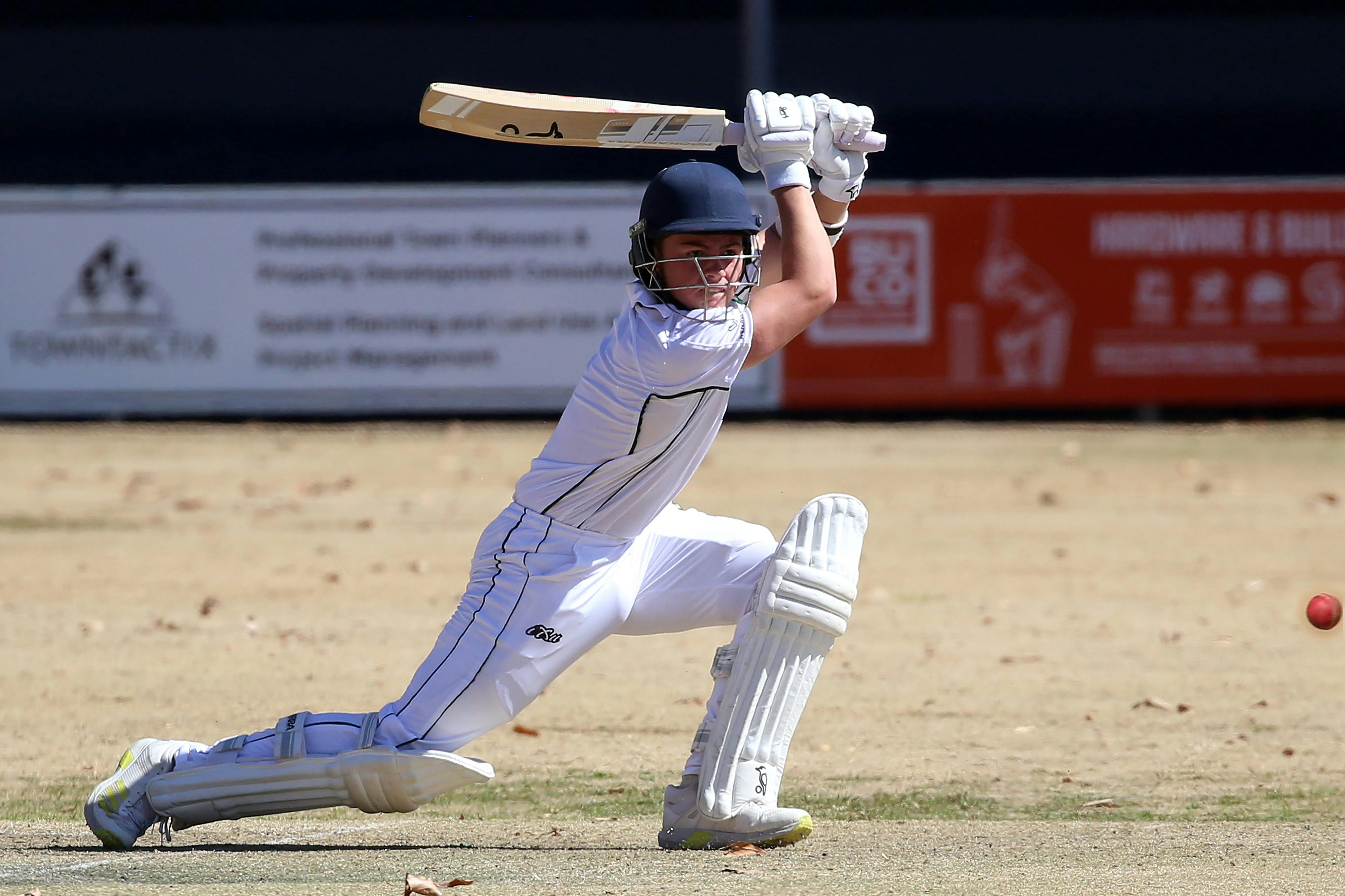 Cricket player batting